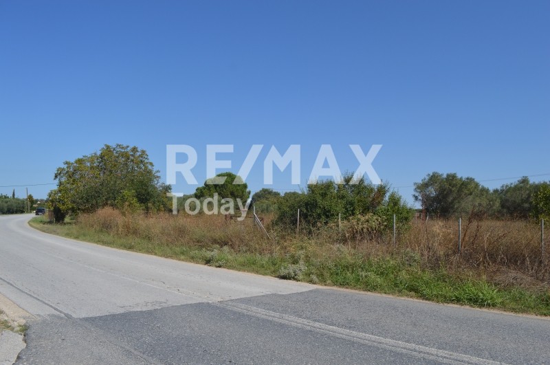 Αγροτεμάχια 3.000 τ.μ. προς πώληση, Λεύκες Επανομής