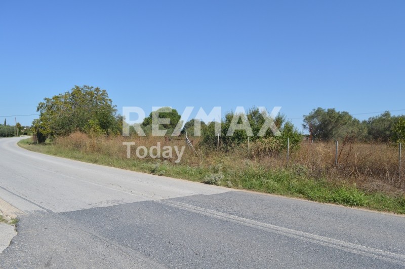 Αγροτεμάχια 3.000 τ.μ. προς πώληση, Λεύκες Επανομής