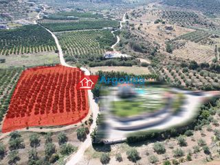 Αγροτεμάχια 5.700 τ.μ. για πώληση