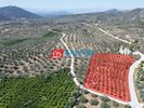 Land plot 8.650sqm for sale-Asklipieio » Arkadiko