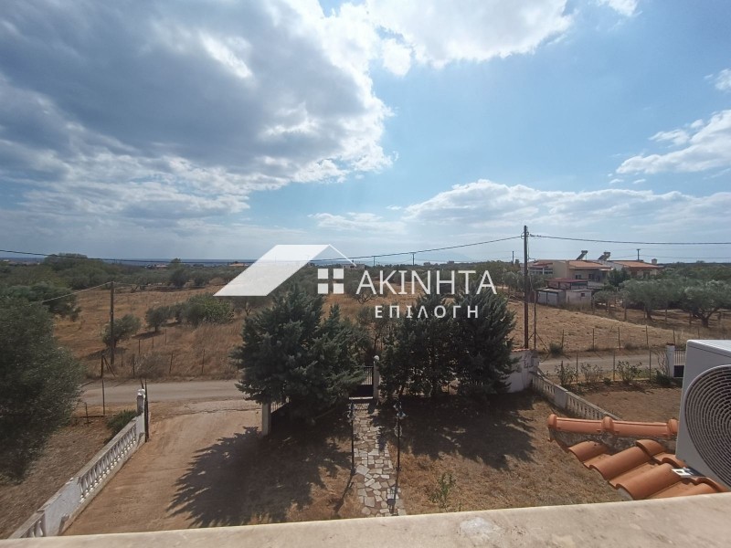 Μονοκατοικία 225 τ.μ. πρός πώληση, Εβρος, Αλεξανδρούπολη