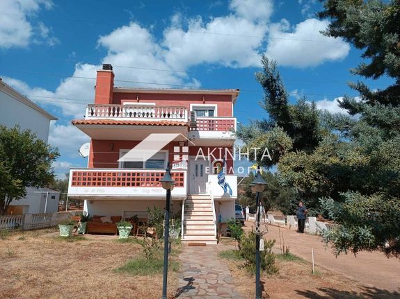 Μονοκατοικία 225 τ.μ. για πώληση, Εβρος, Αλεξανδρούπολη