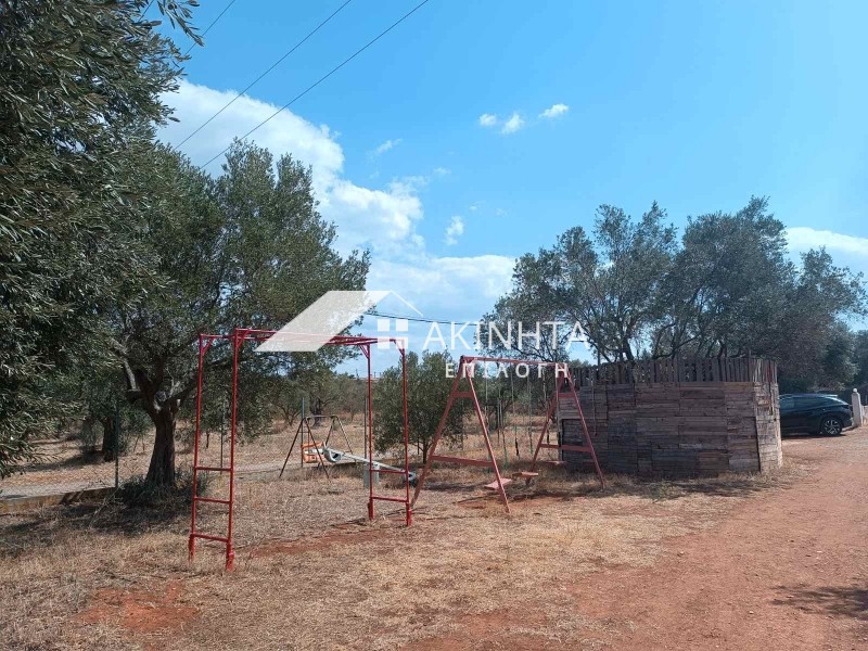 Μονοκατοικία 225 τ.μ. πρός πώληση, Εβρος, Αλεξανδρούπολη