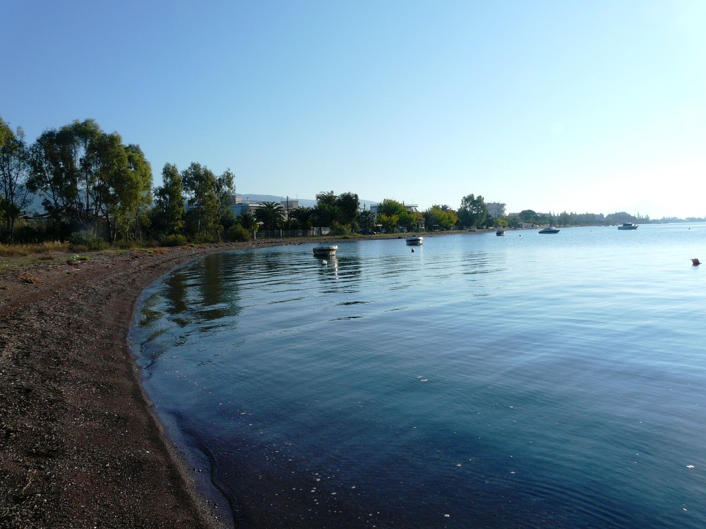 Αγροτεμάχια 4.002 τ.μ. προς πώληση, Πεταράδες