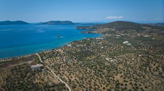 Αγροτεμάχια 4.379 τ.μ. πρός πώληση, Αργολίδα, Ερμιόνη-thumb-21