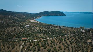 Αγροτεμάχια 4.379 τ.μ. πρός πώληση, Αργολίδα, Ερμιόνη-thumb-9