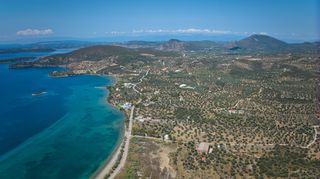 Αγροτεμάχια 4.379 τ.μ. πρός πώληση, Αργολίδα, Ερμιόνη-thumb-14