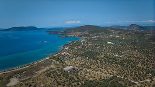 Αγροτεμάχια 4.379 τ.μ. πρός πώληση, Αργολίδα, Ερμιόνη-thumb-12