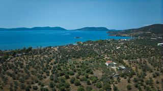 Αγροτεμάχια 4.379 τ.μ. πρός πώληση, Αργολίδα, Ερμιόνη-thumb-19