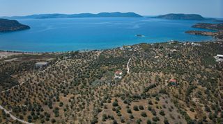 Αγροτεμάχια 4.379 τ.μ. πρός πώληση, Αργολίδα, Ερμιόνη-thumb-20