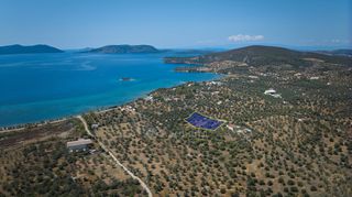 Αγροτεμάχια 4.379 τ.μ. πρός πώληση, Αργολίδα, Ερμιόνη-thumb-2