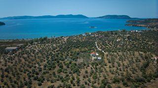 Αγροτεμάχια 4.379 τ.μ. πρός πώληση, Αργολίδα, Ερμιόνη-thumb-16