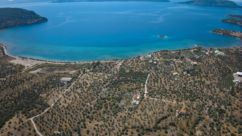 Αγροτεμάχια 4.379 τ.μ. πρός πώληση, Αργολίδα, Ερμιόνη