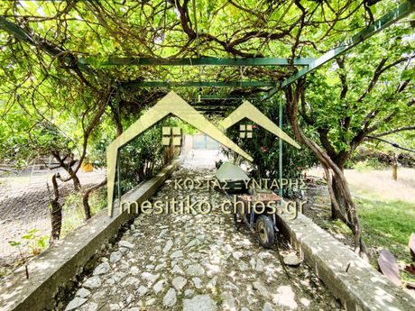 Land plot 8.978sqm for sale-Chios » Omiroupoli