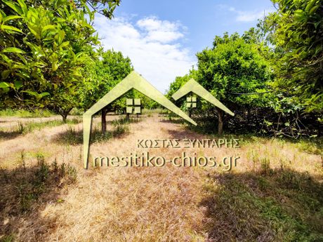 Land plot 2.278sqm for sale-Chios » Omiroupoli