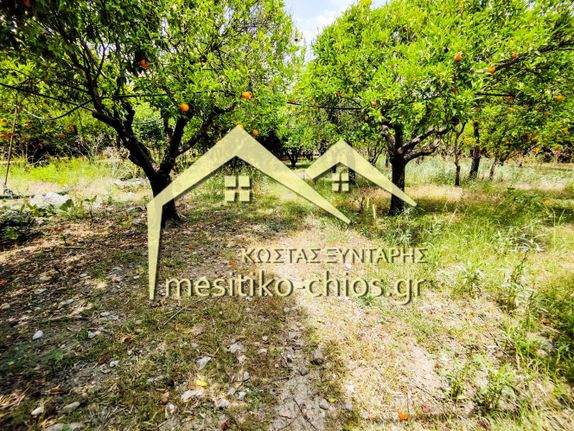 Land plot 2.233 sqm for sale, Chios Prefecture, Chios