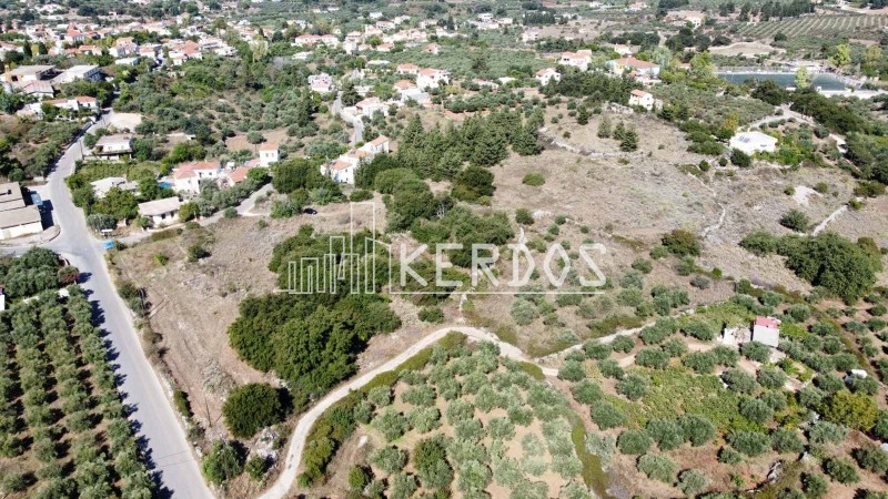 Οικόπεδο 14.424 τ.μ. προς πώληση, Άγιος Παύλος Βάμου