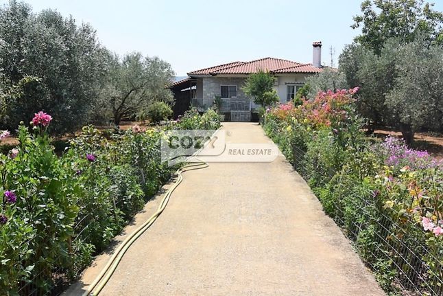 Detached home 100 sqm for sale, Thessaloniki - Suburbs, Thermi