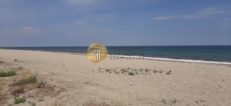 Αγροτεμάχια 9.808 τ.μ. προς πώληση, Πλάκα Λιτοχώρου