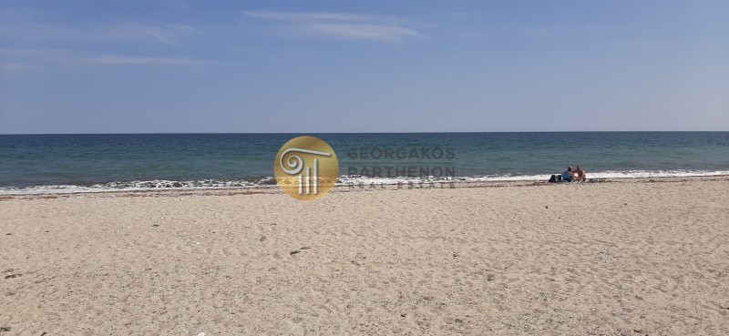 Αγροτεμάχια 9.808 τ.μ. προς πώληση, Πλάκα Λιτοχώρου