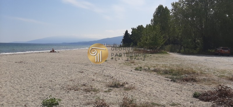 Αγροτεμάχια 9.808 τ.μ. προς πώληση, Πλάκα Λιτοχώρου