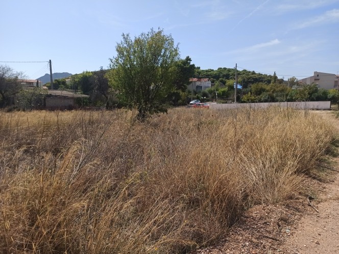 Οικόπεδο 740 τ.μ. προς πώληση, Βραυρώνα Αρτέμιδας