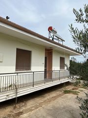 Μονοκατοικία 100 τ.μ. προς πώληση, Στρυμονικό Σερρών-thumb-1