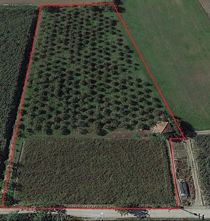 Parcel 15.000 sqm for sale, Pieria Prefecture, Katerini