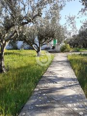 Μονοκατοικία 160 τ.μ. προς πώληση, Πορτοχέλι-thumb-9