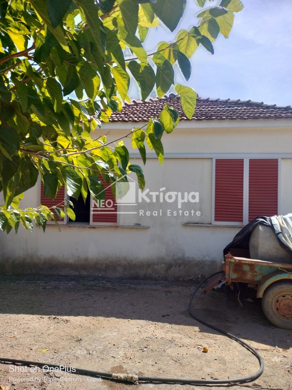 Μονοκατοικία 80 τ.μ. πρός πώληση, Ν. Ηλείας, Ωλένη