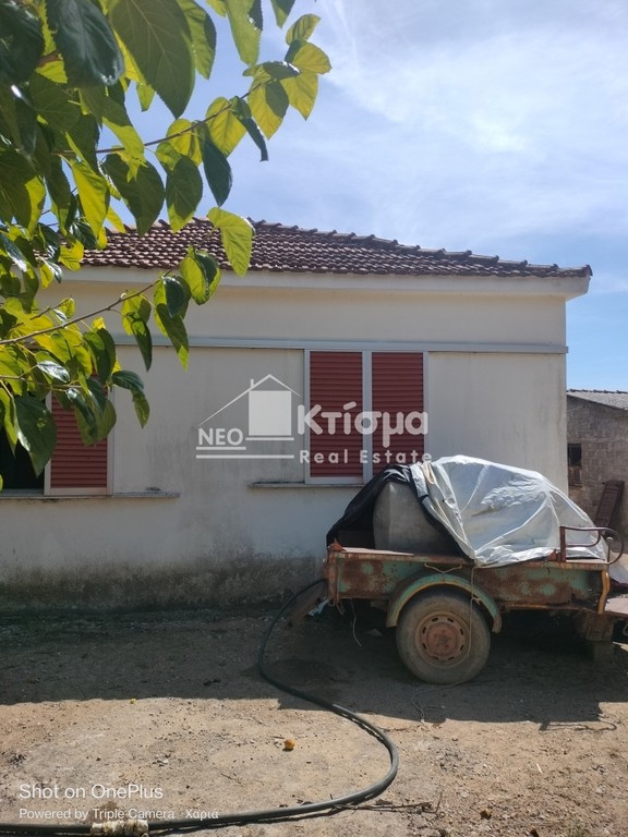 Μονοκατοικία 80 τ.μ. πρός πώληση, Ν. Ηλείας, Ωλένη