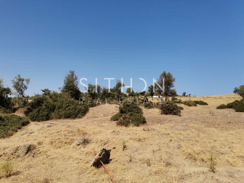 Οικόπεδο 500 τ.μ. προς πώληση, Σκάλα Συκέας