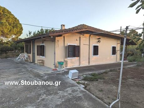 Detached home 81sqm for sale-Amaliada » Savalia