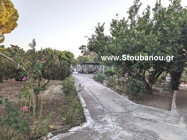 Μονοκατοικία 81 τ.μ. πρός πώληση, Ν. Ηλείας, Αμαλιάδα