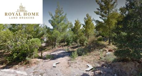 Land plot 1.005 sqm for sale