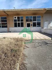 Κατάστημα 275 τ.μ. για πώληση, Πέλλα, Αριδαία-thumb-1