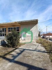 Κατάστημα 275 τ.μ. για πώληση, Πέλλα, Αριδαία-thumb-5
