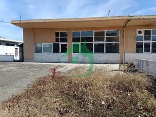 Κατάστημα 275 τ.μ. για πώληση, Πέλλα, Αριδαία-thumb-6