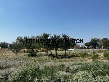 Parcel 2.400sqm for sale-Migdonia » Melissochori