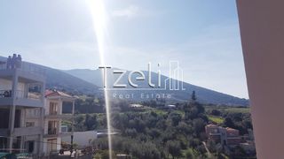 Μονοκατοικία 290 τ.μ. για πώληση, Αχαΐα, Μεσσατίδα-thumb-18