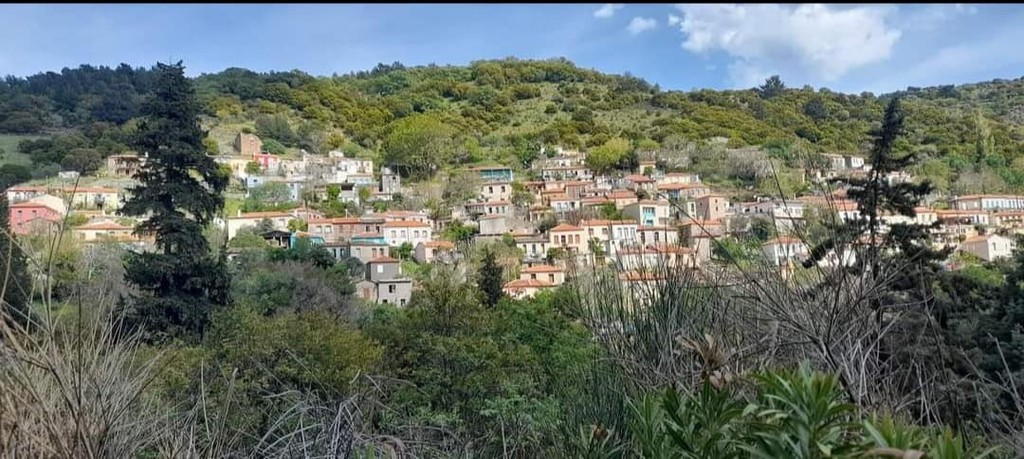 Μονοκατοικία 60 τ.μ. πρός πώληση, Ν. Λέσβου, Λέσβος - Πλωμάρι