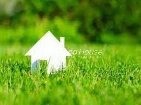 Parcel 713.000sqm for sale-Markopoulo » Koulidas