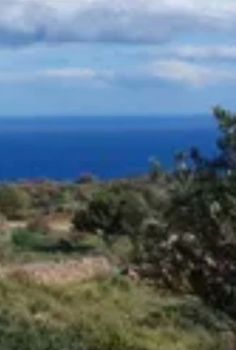 Land plot 28.000sqm for sale-Naxos » Agii Pantes