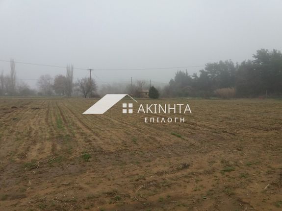 Αγροτεμάχια 12.000 τ.μ. για πώληση, Εβρος, Αλεξανδρούπολη