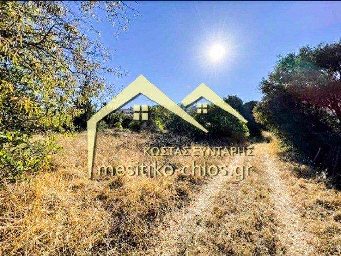 Οικόπεδο 4.529,80 τ.μ. προς πώληση, Πόλη Χίου