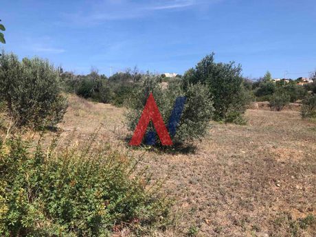 Οικόπεδο 1.000 τ.μ. για πώληση