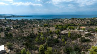 Αγροτεμάχια 4.135 τ.μ. για πώληση