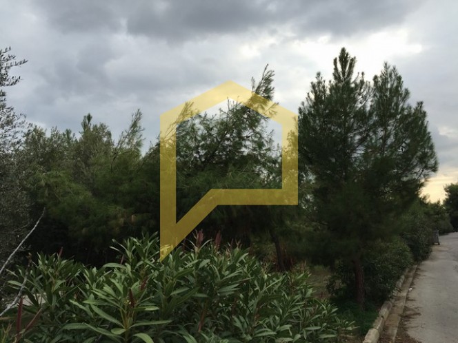 Οικόπεδο 924 τ.μ. πρός πώληση, Αθήνα - Νότια Προάστια, Άλιμος