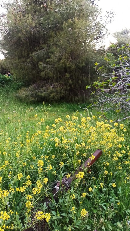 Οικόπεδο 977 τ.μ. πρός πώληση, Αθήνα - Βόρεια Προάστια, Μελίσσια