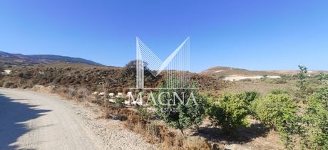 Αγροτεμάχια 115.400 τ.μ. για πώληση